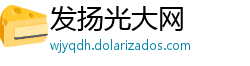 发扬光大网